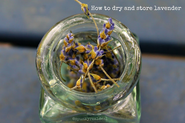 How to store and dry lavender #lavenderfreakweek