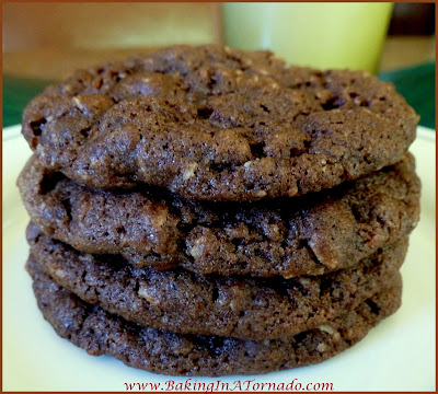 Chocolate Cinnamon Oatmeal Cookies: the perfect pairing of chocolate with oatmeal and a hint of cinnamon | Recipe developed by BakingInATornado.com | #recipe #chocolate
