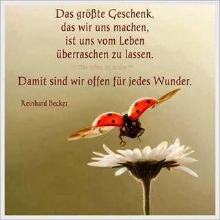 Licht-volle Tages-impulse: 02.03.14 - 09.03.14