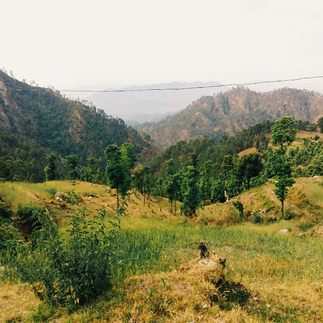 Mountains of Pithoragarh, Uttarakhand Mountains of Pithoragarh, Uttarakhand