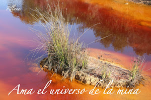 EL UNIVERSO DEL COLOR