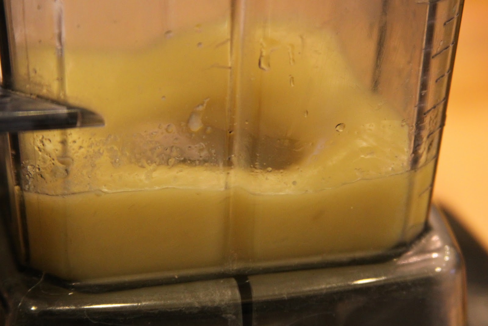 Homestead Revival Homemade Mayonnaise