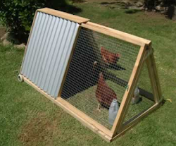 chicken triangle coops