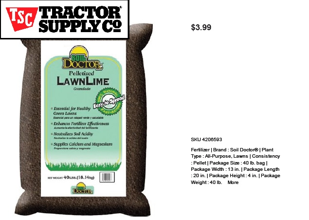 Southern Style on a Dixie Dime: How-To Guide for Fixing a Weed Overrun Yard