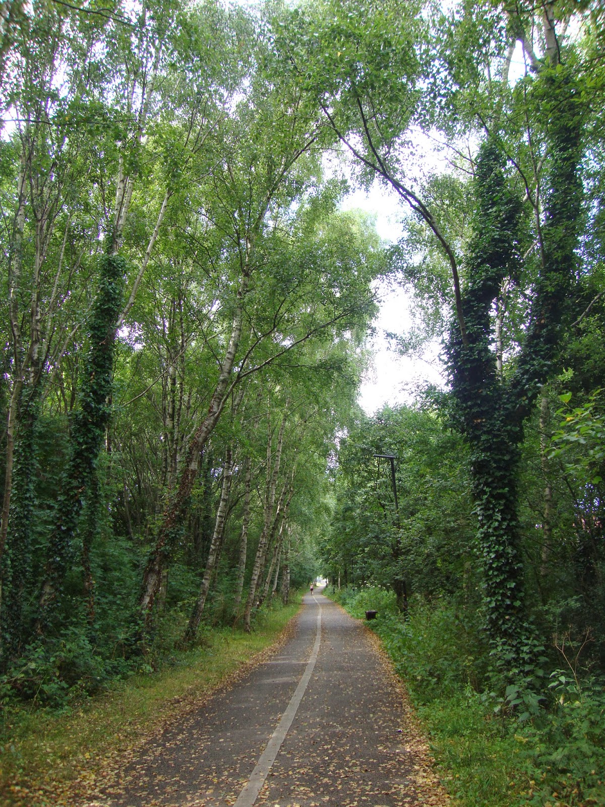 Climber & Explorer Lancaster to Morecambe Trail