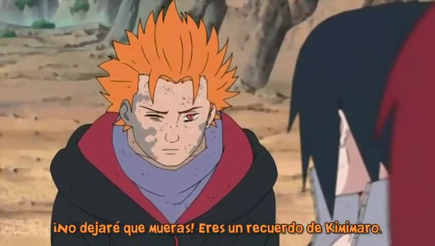 Ver Naruto Shippuden La promesa del maestro y la venganza - Capítulo 143