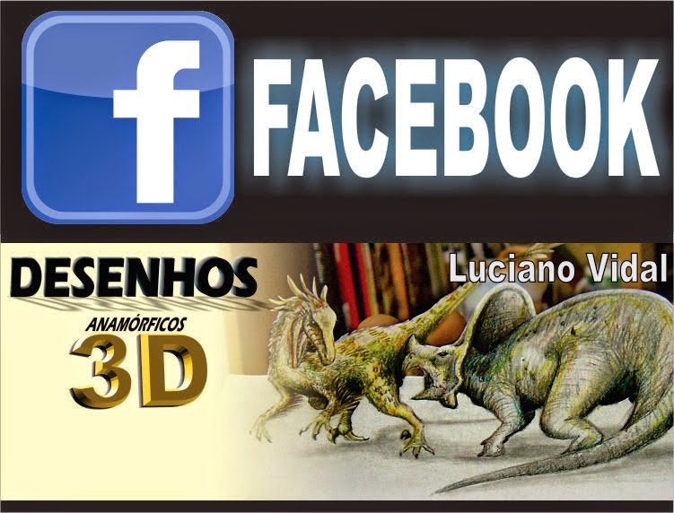 Facebook - Desenhos Anamórficos 3D