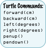 The Maker's Box: Turtle Programming in Real Life