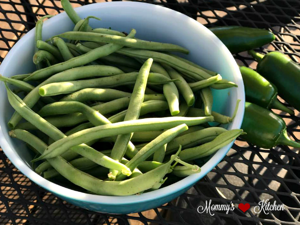 Mommy S Kitchen Recipes From My Texas Kitchen Southern Style