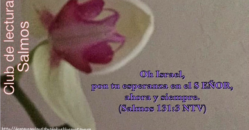 Promesas de Dios Club de lectura Salmo 131