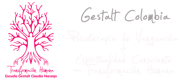 Escuela de Claudio Naranjo, Transformacion Humana Colombia.