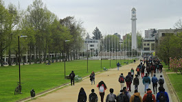 Universidad de Concepción