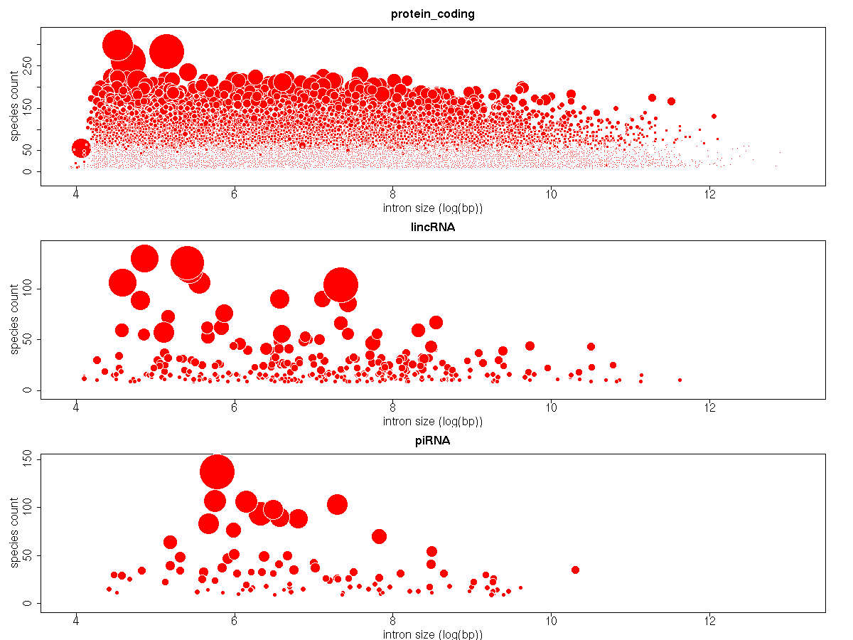 One Tip Per Day: bubble plot in R