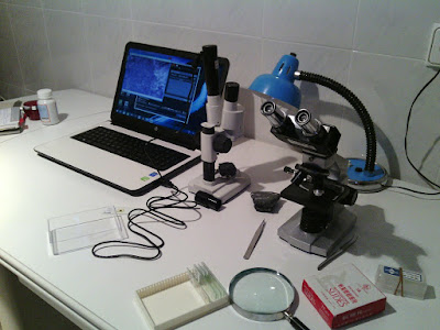 Laboratorio de microscopía de bajo coste