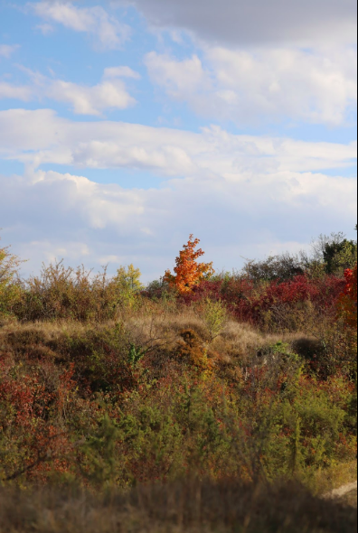 Southwest France Walks: La Couronne Part 1 (Click on photo to get post)