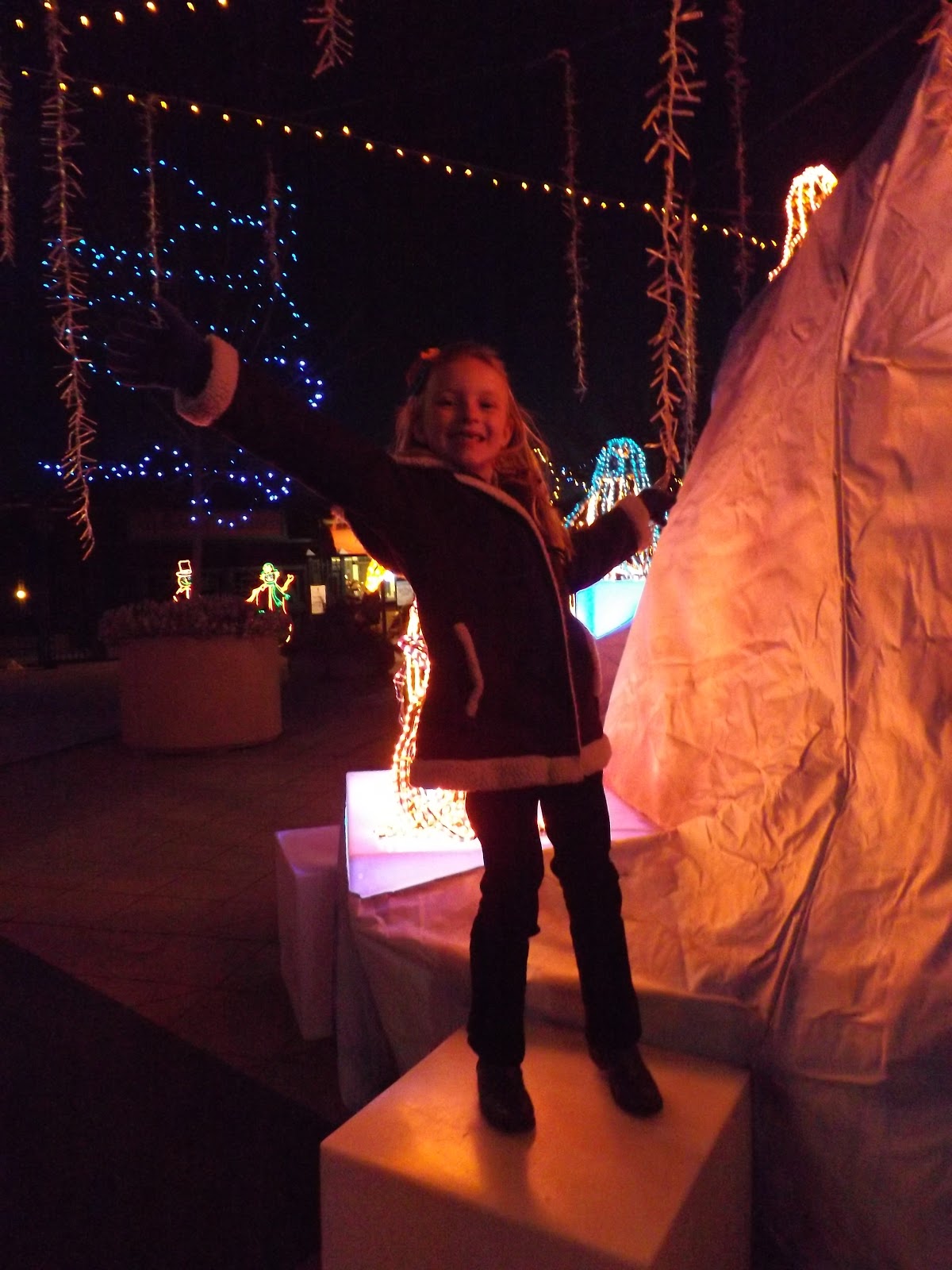 Press On to Know out on the town ABQ river of lights