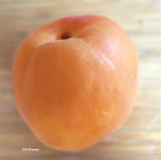 commercial Colorado apricot commercial Colorado apricot