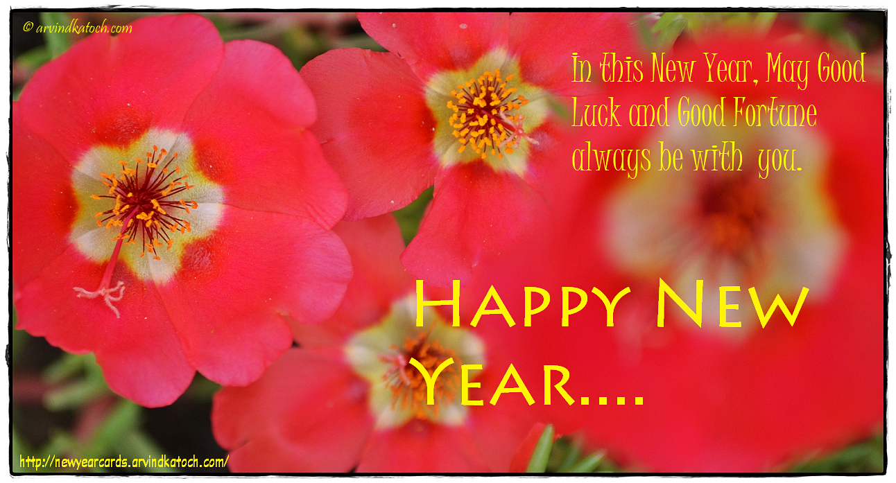 HD True Pic New Year Cards 2023 Happy New Year Card (In this New Year