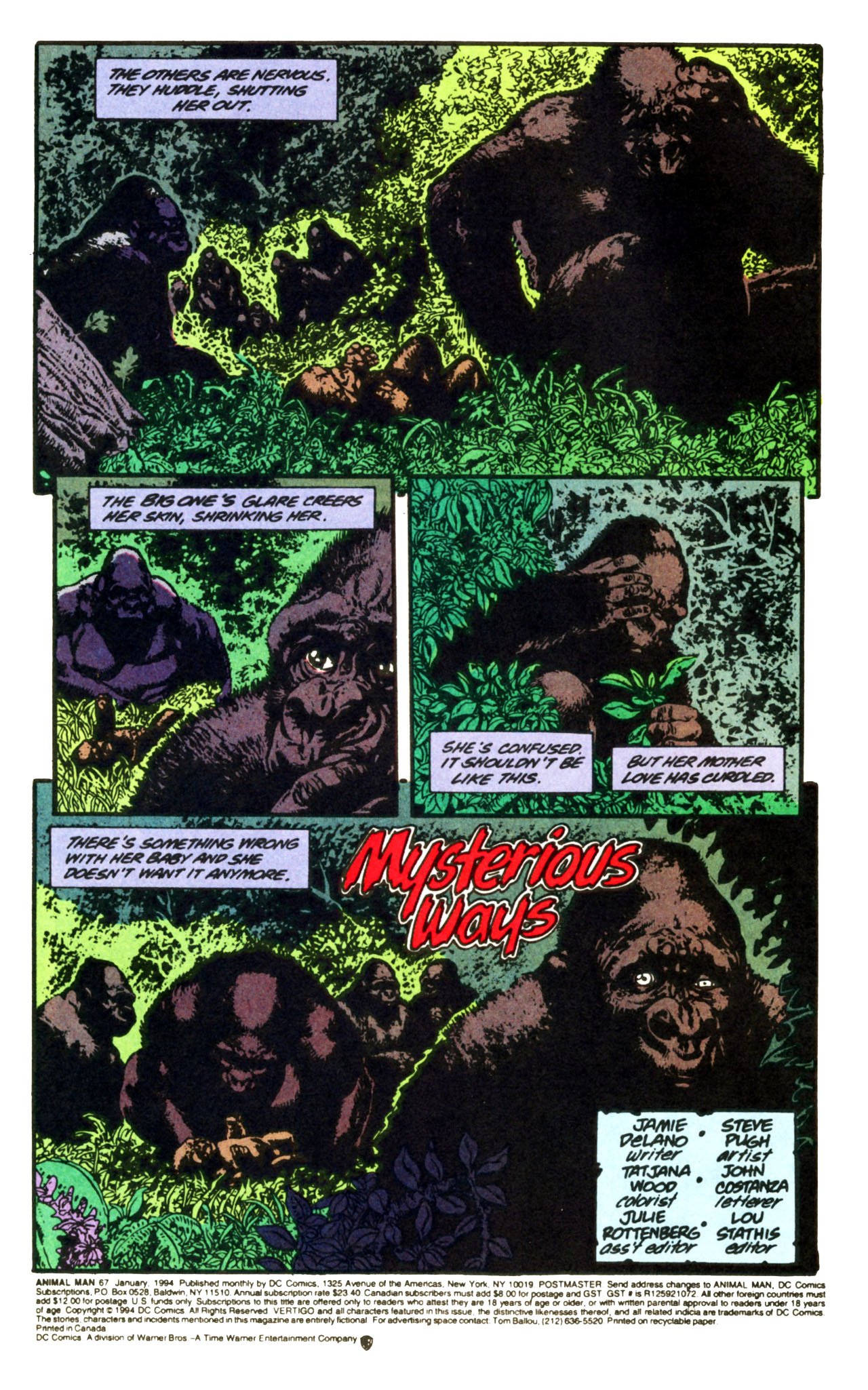 Read online Animal Man (1988) comic -  Issue #67 - 3
