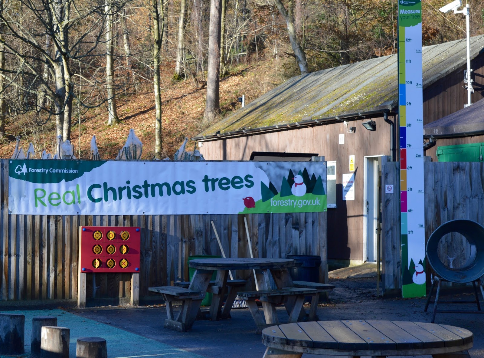 Why you should choose a real, sustainable Christmas tree from a Forestry Commission Forest