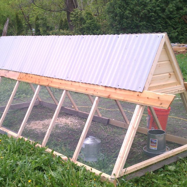 The Gypsy's Road Home: Our A-Frame Chicken Coop / Chicken Tractor