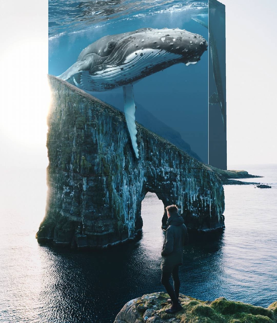 01-Whales-on-the-Edge-Hardiyanto-Indra-Setyawan-Words-Viewed-from-the-Mind-of-the-Photographer-www-designstack-co