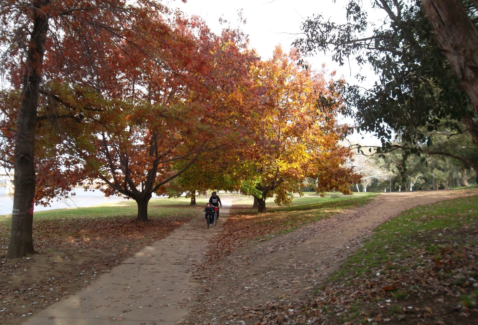 Canberra Is Awesome Lake Burley Griffin Cycle Loop Is Awesome