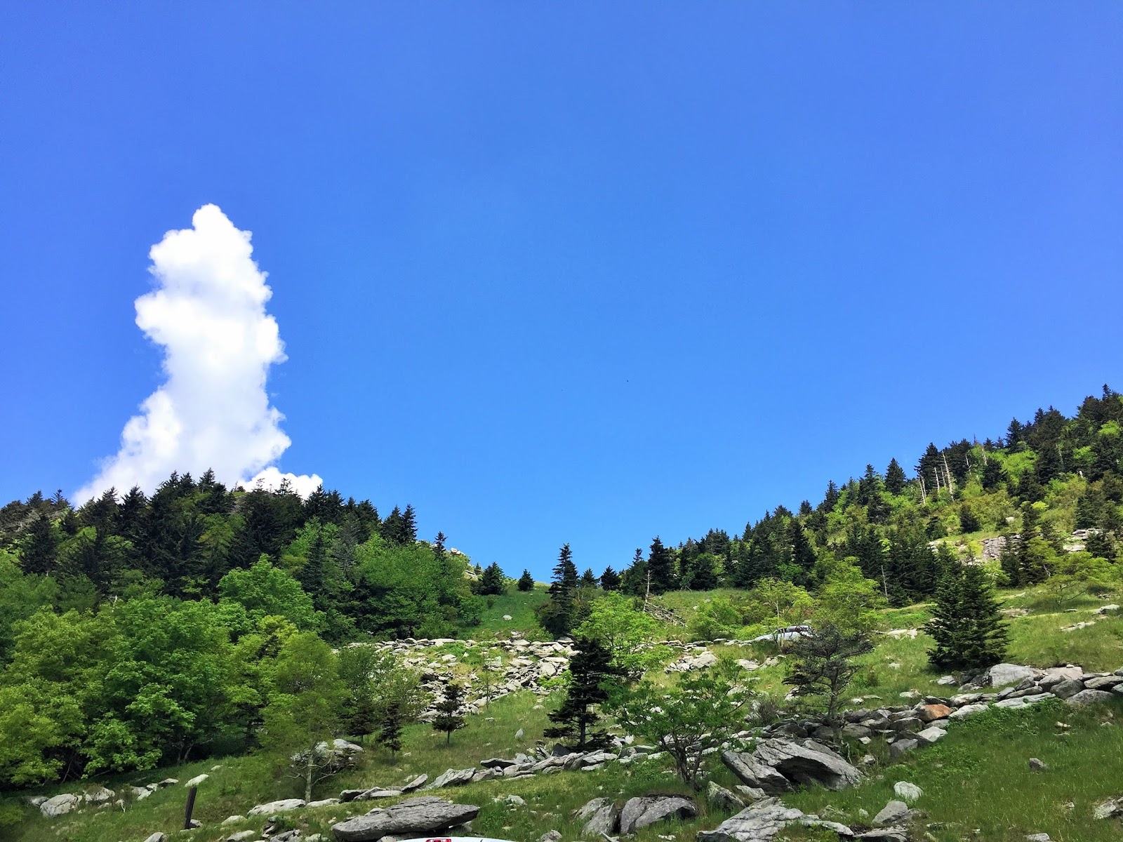 Down the Road Chutes & Ladders Hike on Grandfather Mountain NC