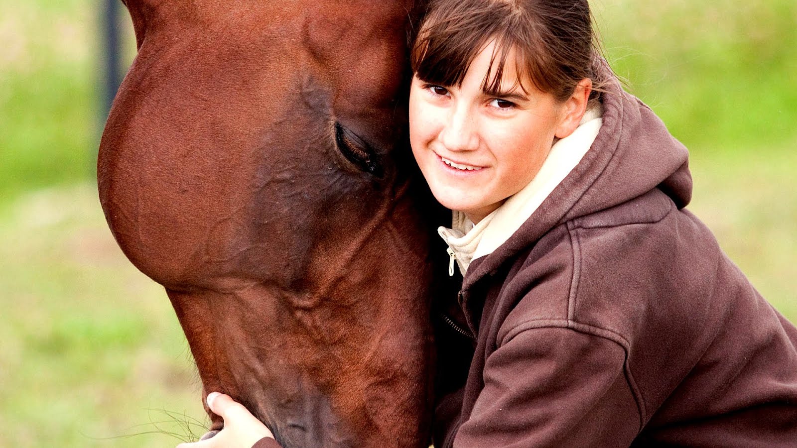 Insurance For Horse Trainers Horse Choices Insurance For Horse Trainers Horse Choices