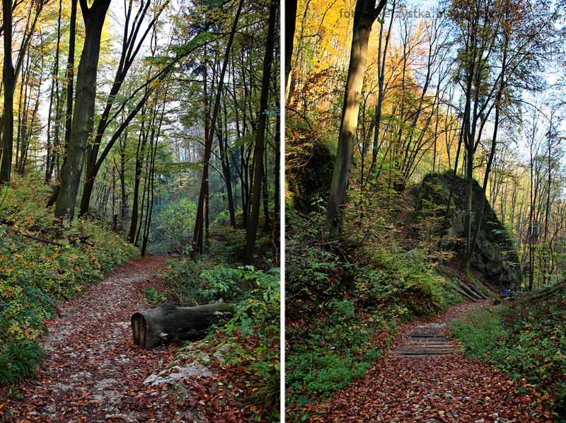 Ojców, Ojcowski Park Narodowy, małopolskie, Dolina Prądnika, Wąwóz Ciasne Skałki