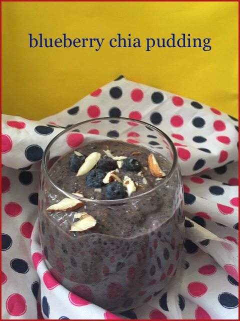 Blueberry Chia Pudding