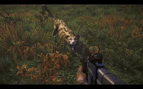 Hello USA: far cry 4 snow leopard