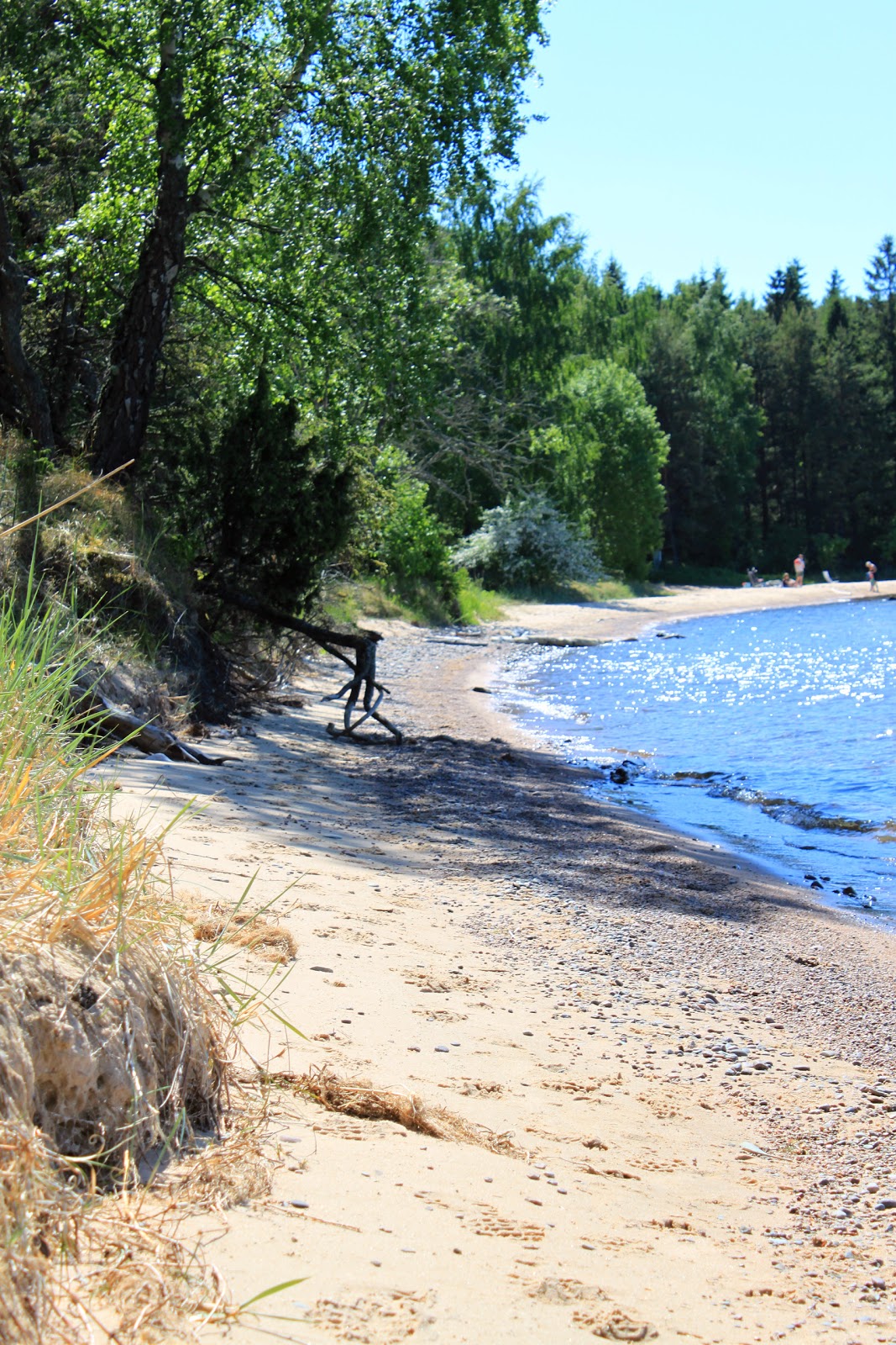 Kärrans blogg: En dag på stranden