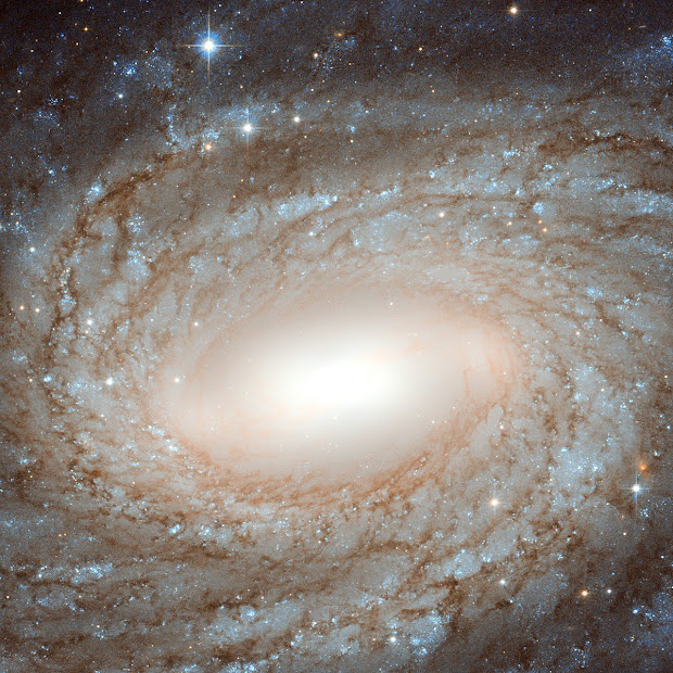 Galaxy NGC 6384: perfect spiral overlaid with Milky Way gems