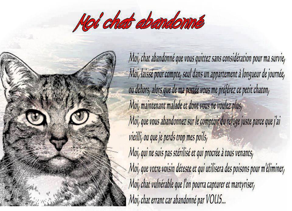 Citations Option Bonheur Panneaux Sur L Abandon Des Animaux