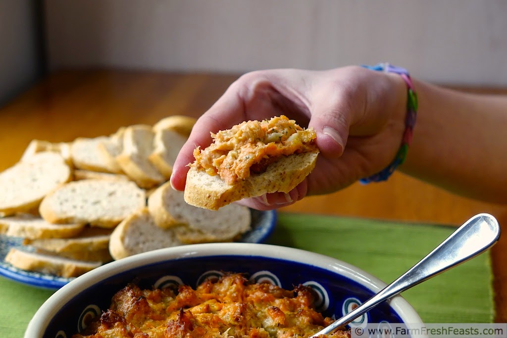 Farm Fresh Feasts Greekseasoned Salmon, Artichoke and Feta Dip