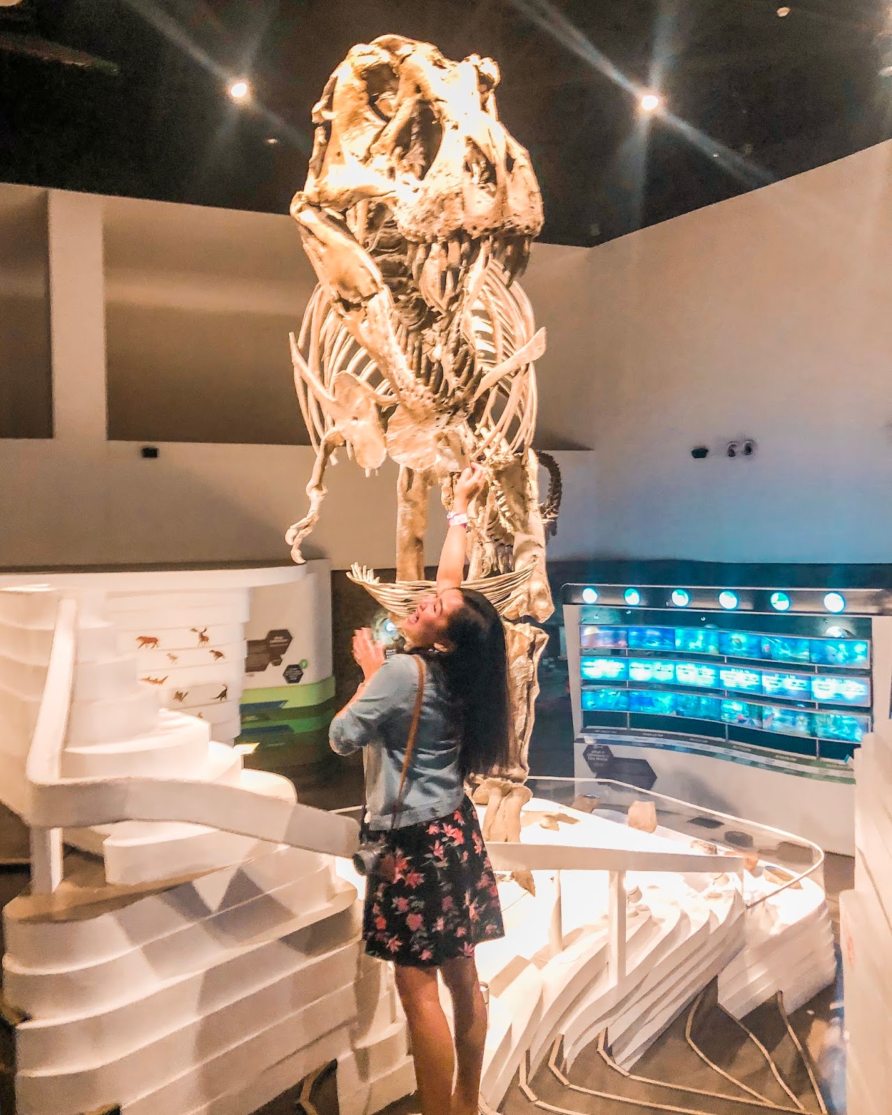 Experience Science Come Alive at The Mind Museum