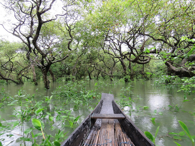 Ratargul Swamp Forest