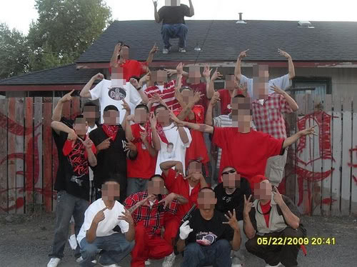 About Gangs and Fraternities: The Northern Structure, Nortenos