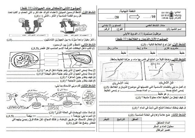  النموذج الخاص بالمراقبة المستمرة لمادة النشاط العلمي ( موضوعا الذوبان و التكاثر)