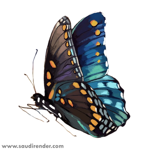 فراشات سعودي ريندر