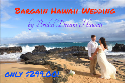 Affordable Hawaii Weddings