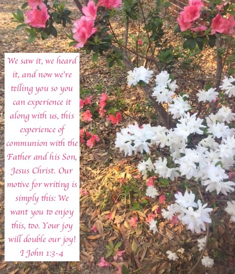 My Strength I John 1 3 4 I Will 