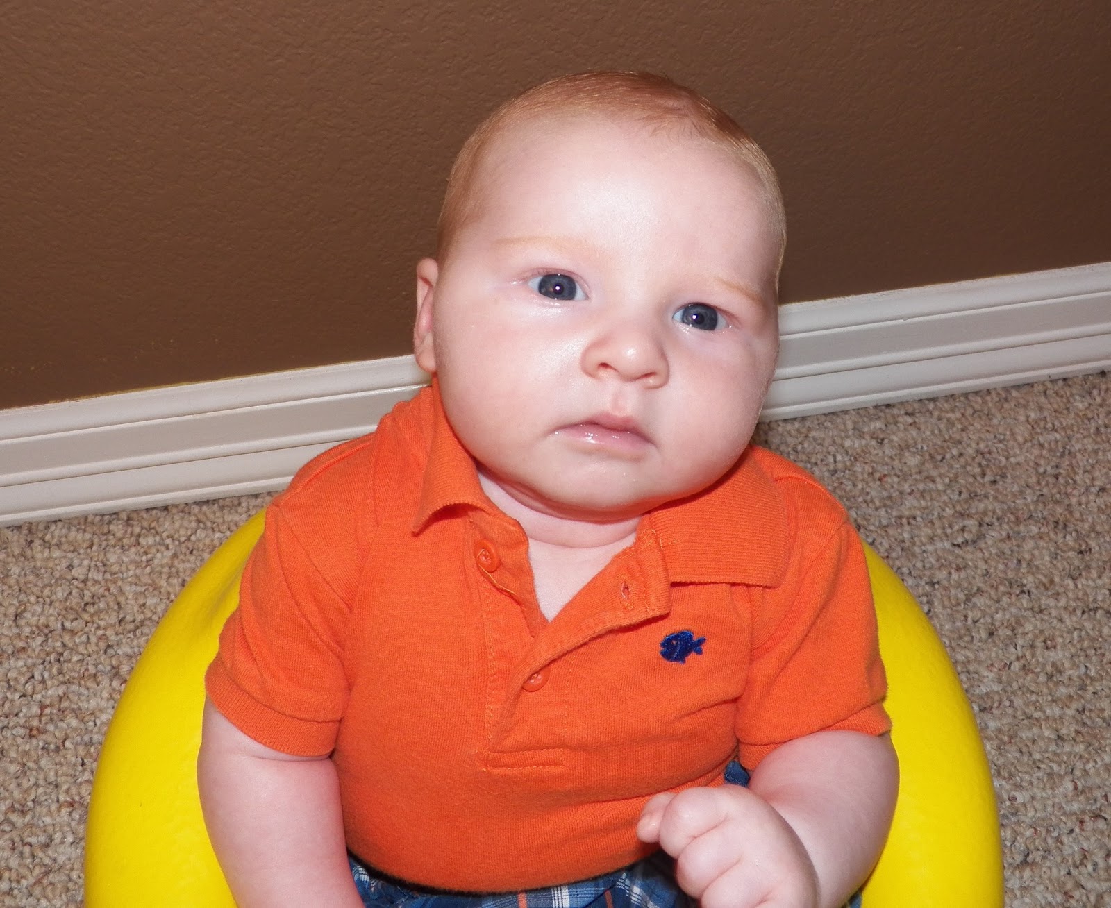 House s home 8 weeks