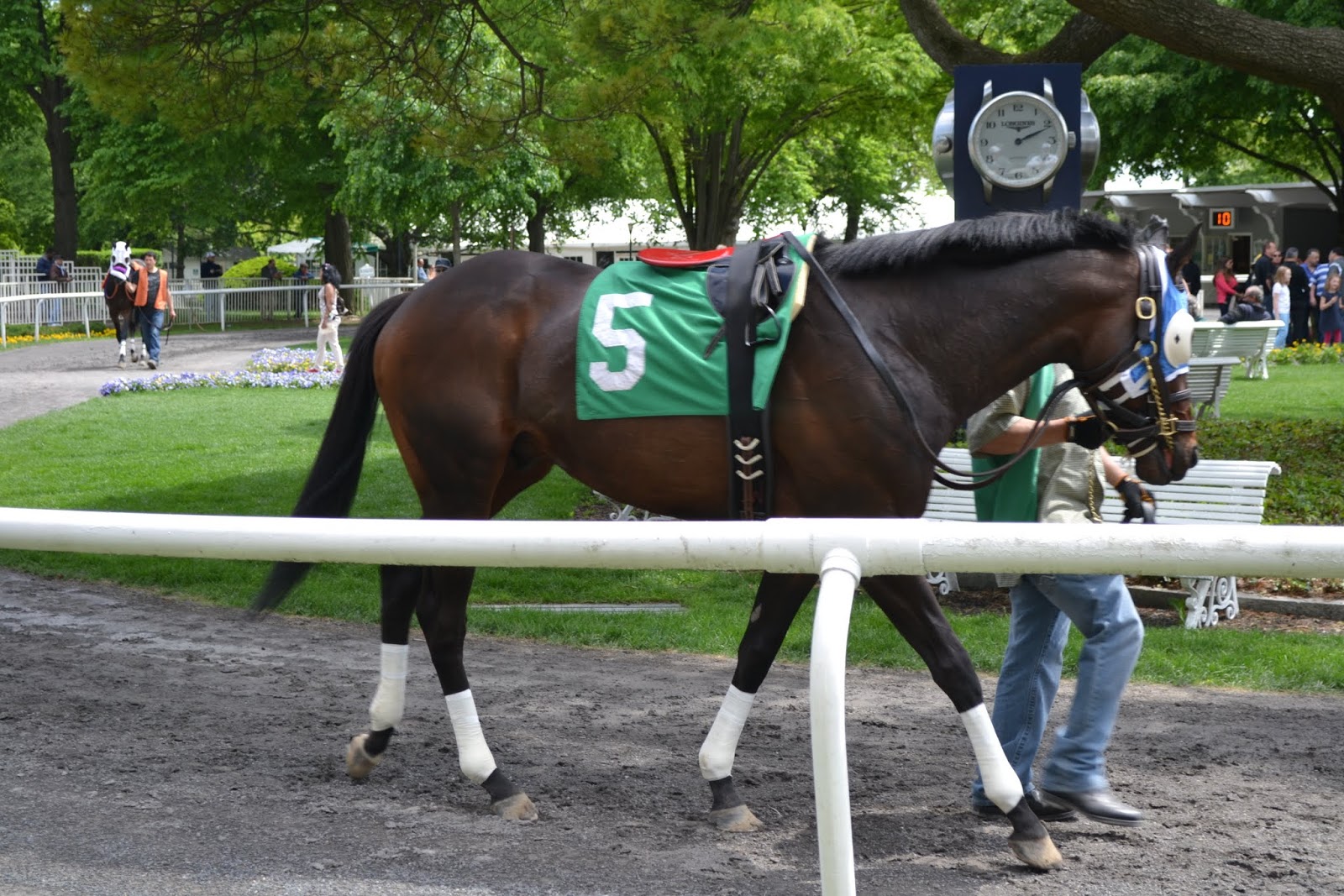 Ипподром Белмонт Парк, Нью-Йорк (Belmont Park, NY)