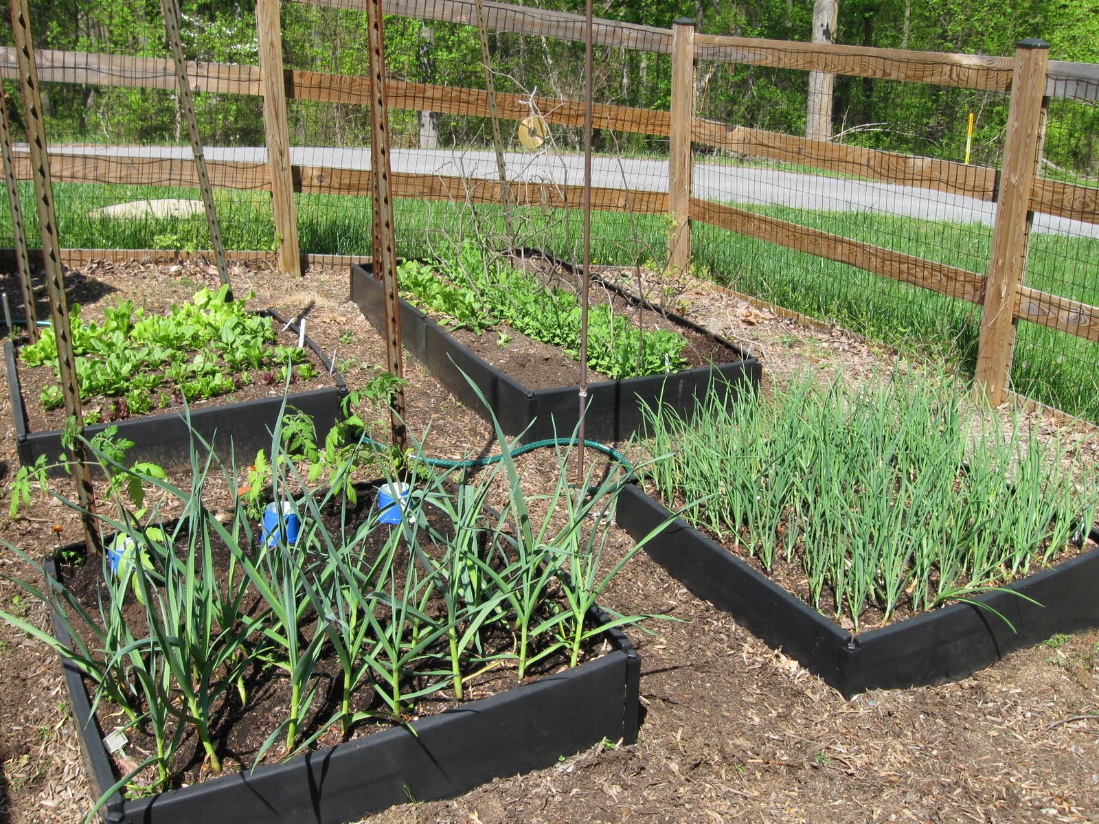 New Decade, New Chapter, New Hampshire Vegetable Garden Progress