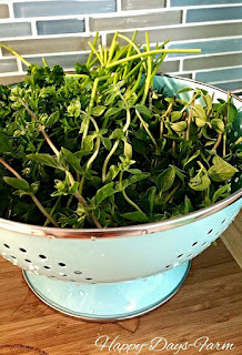 Fresh Herbs are a great way to get extra fluids into your rabbit during the summer