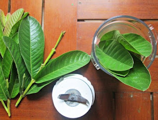cara mengatasi rambut rontok shampo rambut rontok, obat rambut rontok parah, cara mengatasi rambut rontok berlebihan, cara mengatasi rambut rontok dan kering, cara merawat rambut rontok dan berketombe, vitamin untuk rambut rontok, cara mengatasi rambut rontok pada pria, mengatasi rambut rontok berjilbab