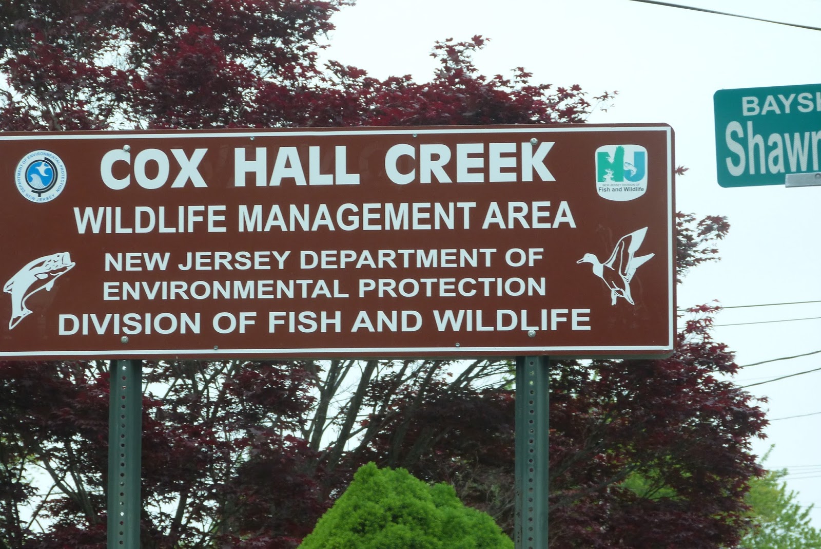 Stromboli's Rolling Log Day 41, Friday May 13, 2016 Matt’s Landing and