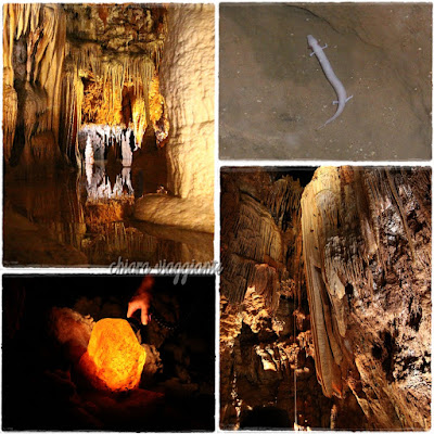 jama baredine grotte croazia istria